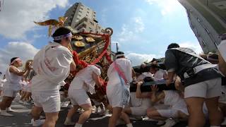 30年  素盞雄神社  天王祭　三年に一度　本社神輿素盞雄流立派な渡御です迫力動画。