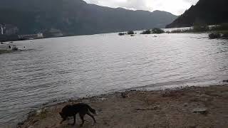 Squamish Estuary at 4.9m tide