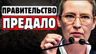 👉75% немцев НЕНАВИДЯТ эту власть!👈 - шокирующее заявление главы АдГ ВЗОРВАЛО интернет!