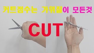 미용사자격증 제 2과제 커트 ✂️ 가위를 올바르게 잡는법, 커트점수 잘받는법, 수험생들이 실수하는것 중심으로