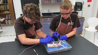 STEM Camp Promo 2018
