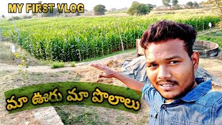 మా ఊరు మా పొలాలు | My First Vlog | Maa Uru Maa Polalu | YoutubeBoy Volgs