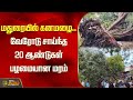 மதுரையில் கனமழை.. வேரோடு சாய்ந்த 20 ஆண்டுகள் பழமையான மரம் | Newstamil24x7 | Heavy Rain