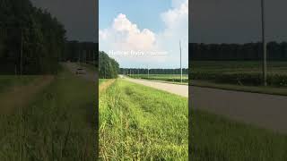 Hellcat flyby and whine 📍 #car #dodge #hellcat #supercharged #automobile #mustang #camaro #hellcat