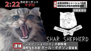 国際指名手配されていたシャーシェパード創設者の猫が逮捕されました