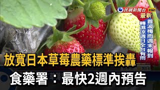 替日本草莓解套？食藥署擬放寬農藥殘留挨轟－民視台語新聞