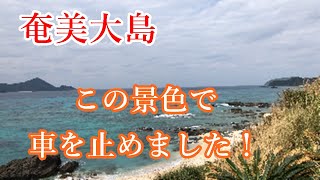 【奄美大島】車を止めた海景色！　安らぎ