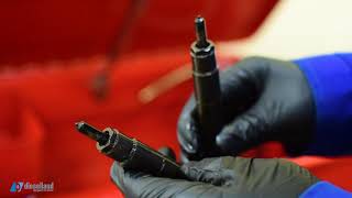 Dieselland repair Delfi Mercedes injectors