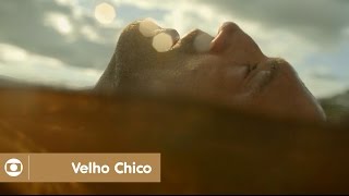 Velho Chico: capítulo 127 da novela, terça, 09 de agosto, na Globo