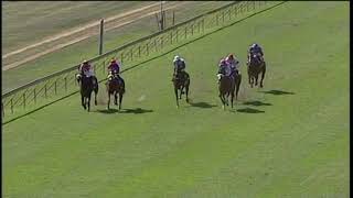 20190414 Scottsville express clip Race 1 won by SOMEWHERE IN TIME