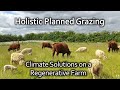 Holistic Planned Grazing - climate solutions on the regenerative farm