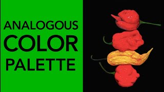 How to paint with an analogous color palette 🎨  | Painting Tutorial