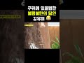 주위에 있을법한 불평불만의 달인 강유미 😂