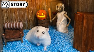 Homura Ham's Hamsters vs Granny in the Haunted House for Halloween