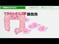 【書評】花粉症治療のポイントは腸活だった！　【実践】花粉症は1日で治る！