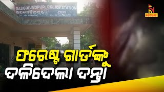 ଫରେଷ୍ଟ ଗାର୍ଡଙ୍କୁ ଦଳିଦେଲା ଦନ୍ତା | Nandighosha TV