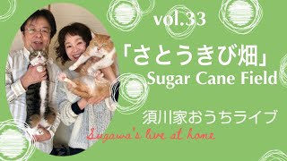 vol.33「さとうきび畑」Sugar Cane Field