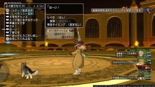 ガルドドン3赤　パラディン海賊構成