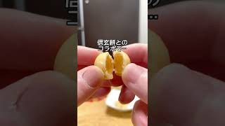 このチョコ実は○○って知ってた⁉️ 大玉チョコボール 桔梗信玄餅味 #チョコ #お菓子 #チョコボール #信玄餅