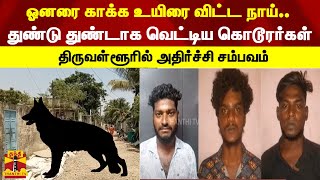 ஓனரை காக்க உயிரை விட்ட நாய்.. துண்டு துண்டாக வெட்டிய கொடூரர்கள்- திருவள்ளூரில் அதிர்ச்சி சம்பவம்