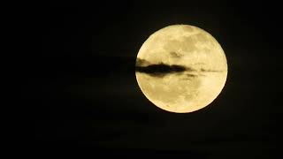 2023年5月6日満月フラワームーンMay 6, 2023 Full Moon Flower Moon