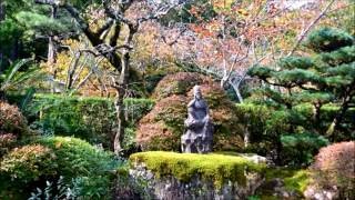 【浜松龍潭寺　女城主直虎ゆかりの寺】♪♪♪