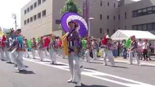 いよさこい！！華魅　銭形よさこい2015中央会場