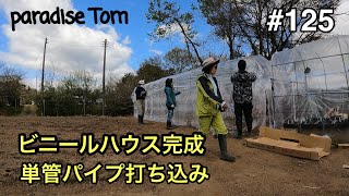 【土地開拓日記】#125 ビニールハウス完成　単管パイプ打ち込み　山林から畑への道のり