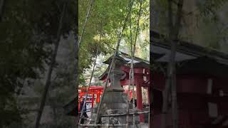 20250221 考察完熱海櫻之後，後面都是神社景點，首先來到「來宮神社」，是熱海来宮之地鎮座這裡遊客很多，非常熱鬧