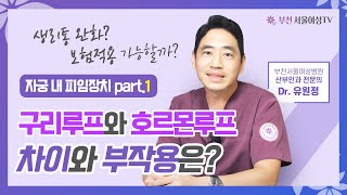 [루프 Q\u0026A 1] 구리루프와 호르몬루프 차이와 부작용은? | 자궁내피임장치 part.1