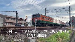 【今日は、急行鷲羽ではないよ！」115系湘南色を撮影！