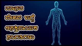 Fascinating Human Body Facts || ಮಾನವ ದೇಹದ ವಿಶೇಷ ಸಂಗತಿಗಳು