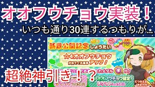 【けものフレンズ3】アライさん隊長日誌4章公開、オオフウチョウ実装！まさかの神引き！【けもフレ3】