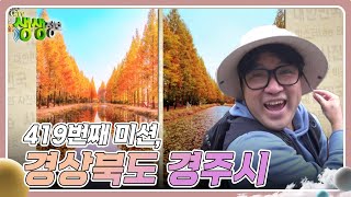 미스터Lee의 사진 한 컷, 대한민국 : 419번째 미션, 경상북도 경주시 [2TV 생생정보] | KBS 241112 방송