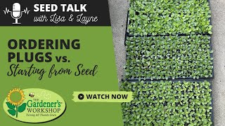 Seed Talk #112 - Ordering Plugs vs. Starting from Seed