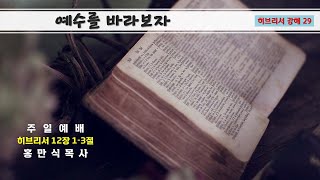 주후 2024년 11월 24일 주일 오전 예배