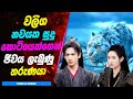 වලිග නවයක සුදුකොටියෙක්ගෙන් ජීවය ලැබුණු තරුණයා