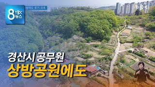 경산 공원 개발에도 투기 의혹 210420 [TBC-띠비띠]