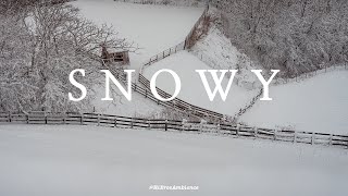 Snowing day winter sound. Snowy landscape and sounds | 4K nature mood video | South Korea