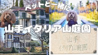 【犬連れ♡横浜】山手イタリア山庭園へ‎✿  ‎ペットと一緒にのんびりお散歩🐶🐾噴水⛲横浜の景色も一望✨小さな西洋館も素敵でした