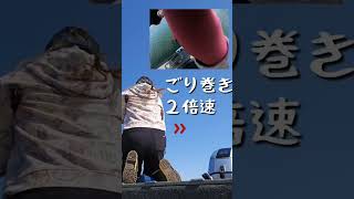 [鮭釣り サーモンの王様🐟️キングサーモンジギングin シアトル]Puget sound KING salmon jigging #salmonfishing #釣りガール #shorts #つり