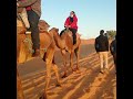 #morocco #marruecos #merzouga #sahara #desert  A walk in the Sahara desert of Morocco📍