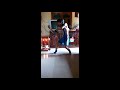 khmer martial arts yuthakun khorm 01