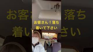 お行儀の悪いタクシー🚕の客？犬🐕#いぬ #わんこ #いぬすたぐらむ #いぬのきもち #海までお願いします#タクシー