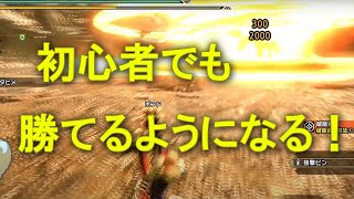 【モンハンライズ】安定してナルハタタヒメに勝てる弓【アイテム不使用】【モンスターハンターRISE】