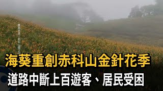 海葵重創金針花季　道路中斷上百人受困赤科山－民視新聞