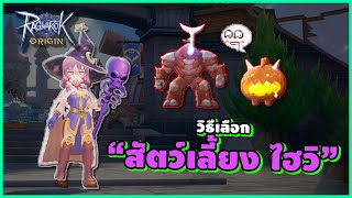 สัตว์เลี้ยง High Wizard ใช้ตัวไหนบ้าง ไม่มั่ว?