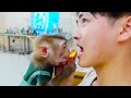 Monkey Pupu was refused food by his uncle because it would be spicy