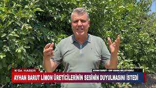 AYHAN BARUT LİMON ÜRETİCİLERİNİN SESİNİN DUYULMASINI İSTEDİ