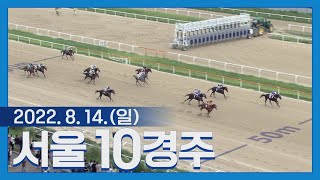 (서울) 22.08.14.10R 5살에 우승 가뭄 탈출하는 원퍼트, 25전만에 첫 우승!